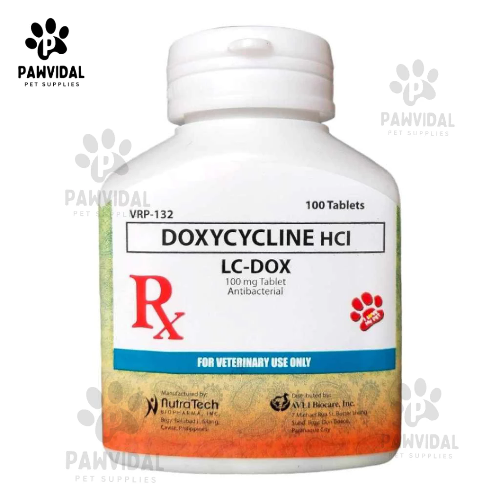 HB Doxycycline 60mg